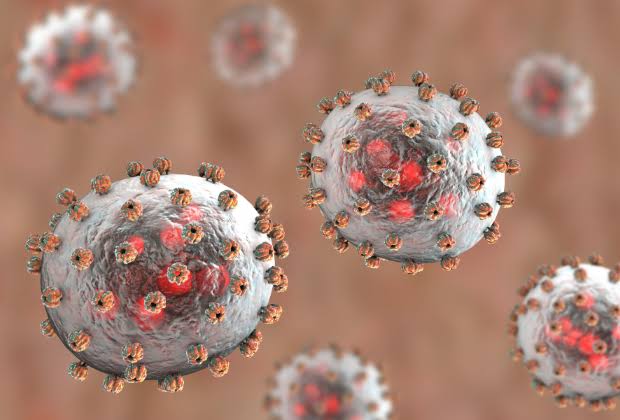 Lassa Fever Fatalities Surge in Nigeria Despite Drop in New Infections