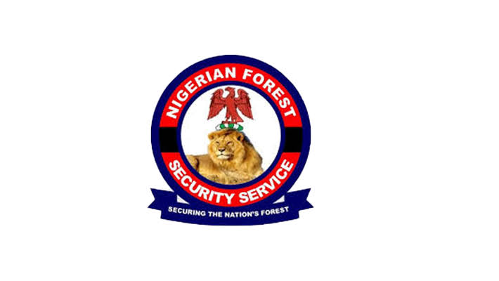 Gunmen Kill Five Forest Security Personnel in Kaduna Community Attack as Insecurity Returns to Gidan Waya