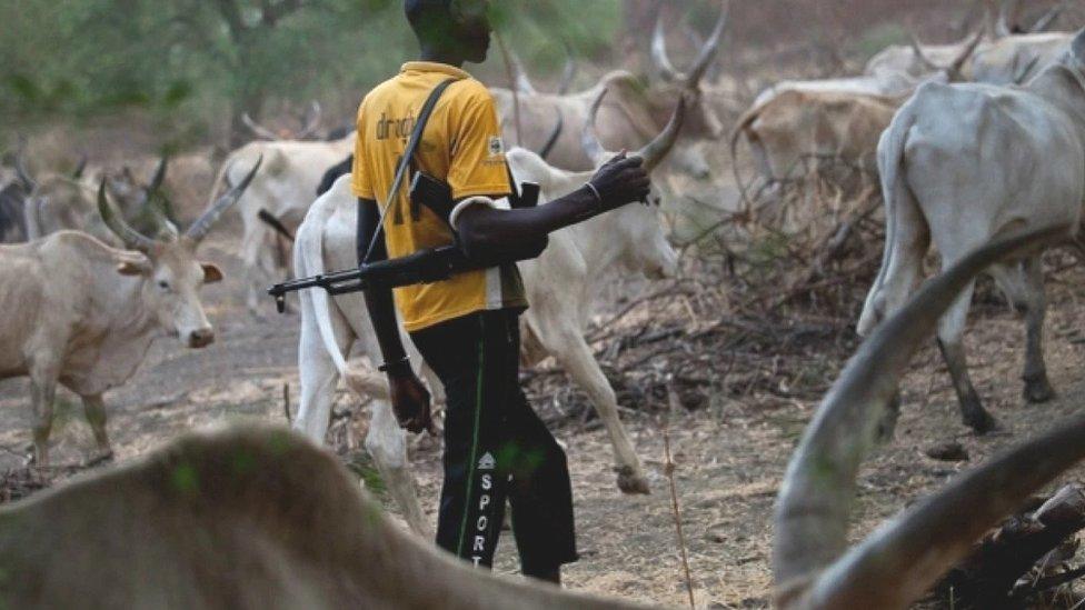 Armed Men Reported in Kogi East Forest Settlements Spark Fear Over Rural Security and Farming Disruption