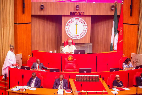 Nigeria–South Africa Tensions: Senate Warns Over Xenophobic Attacks as Diplomatic Pressure Intensifies