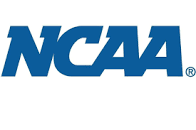 NCAA Suspends Operator, Grounds Aircraft After Alleged Road Landing Incident Near Asaba, Delta State