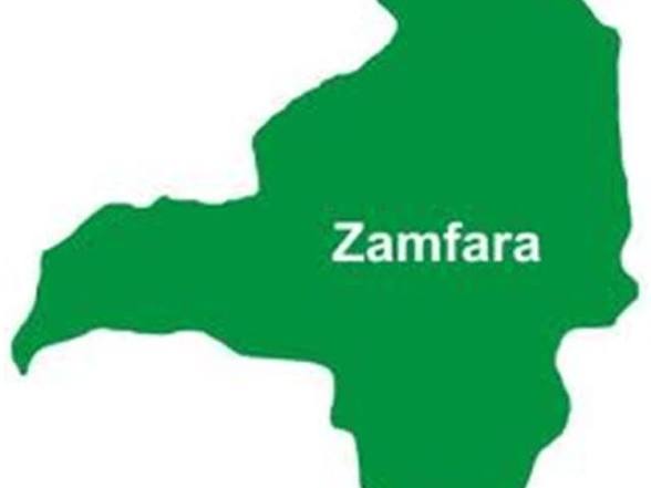 Zamfara Security Operation Recovers 329 Cattle as Authorities Intensify Fight Against Banditry