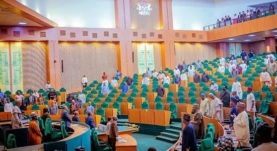 Nigeria's Democracy Under Scrutiny as Reps Group Demands Emergency National Assembly Session