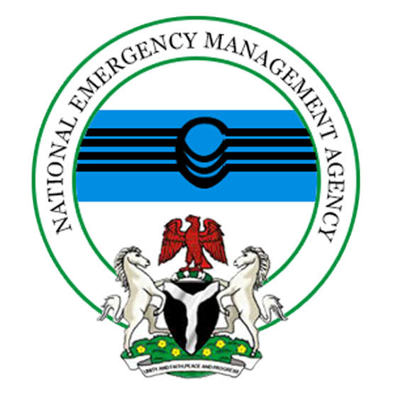 NEMA 2026 Essay Competition: What Is Confirmed About the Winners and the ₦3m Prize