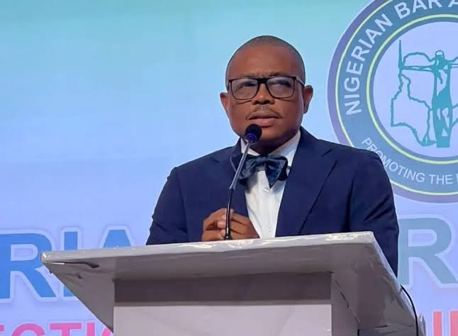 How Election Disputes and Court Challenges Affect Nigerian Voters as Osigwe Raises Concerns