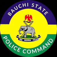 Bauchi Police Arrest Two Over Alleged Sexual Assault of Three Minors in Darazo