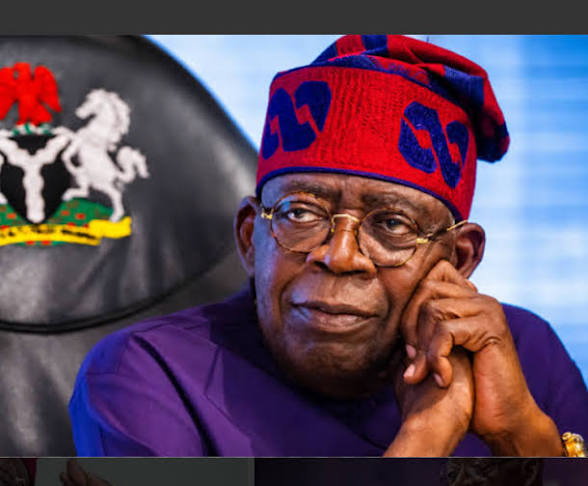 2027: Tinubu Support Group Plans Book on President’s Reforms