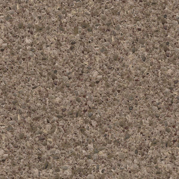 Olive Rust Close
