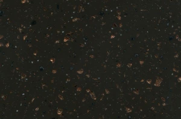 Copperblack