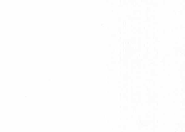 Neo White