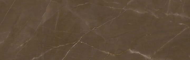 PULPIS - Silk
