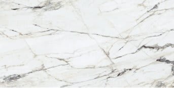 CALACATTA CAPRIA - Parlak