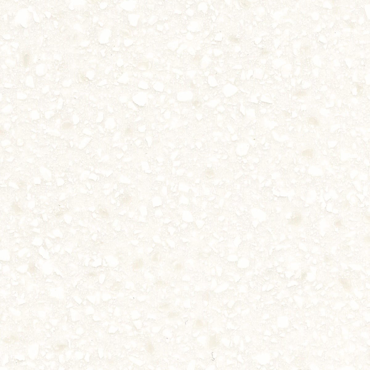 ANTARTICA