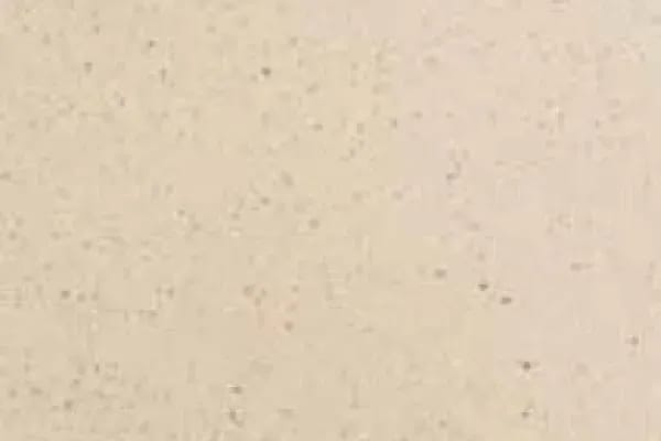 Noci