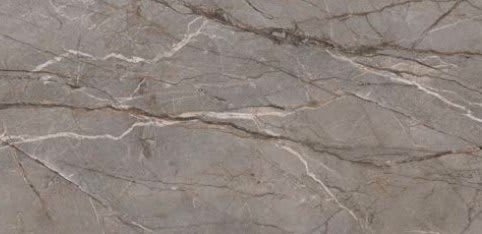 SILVER ROOT - Parlak
