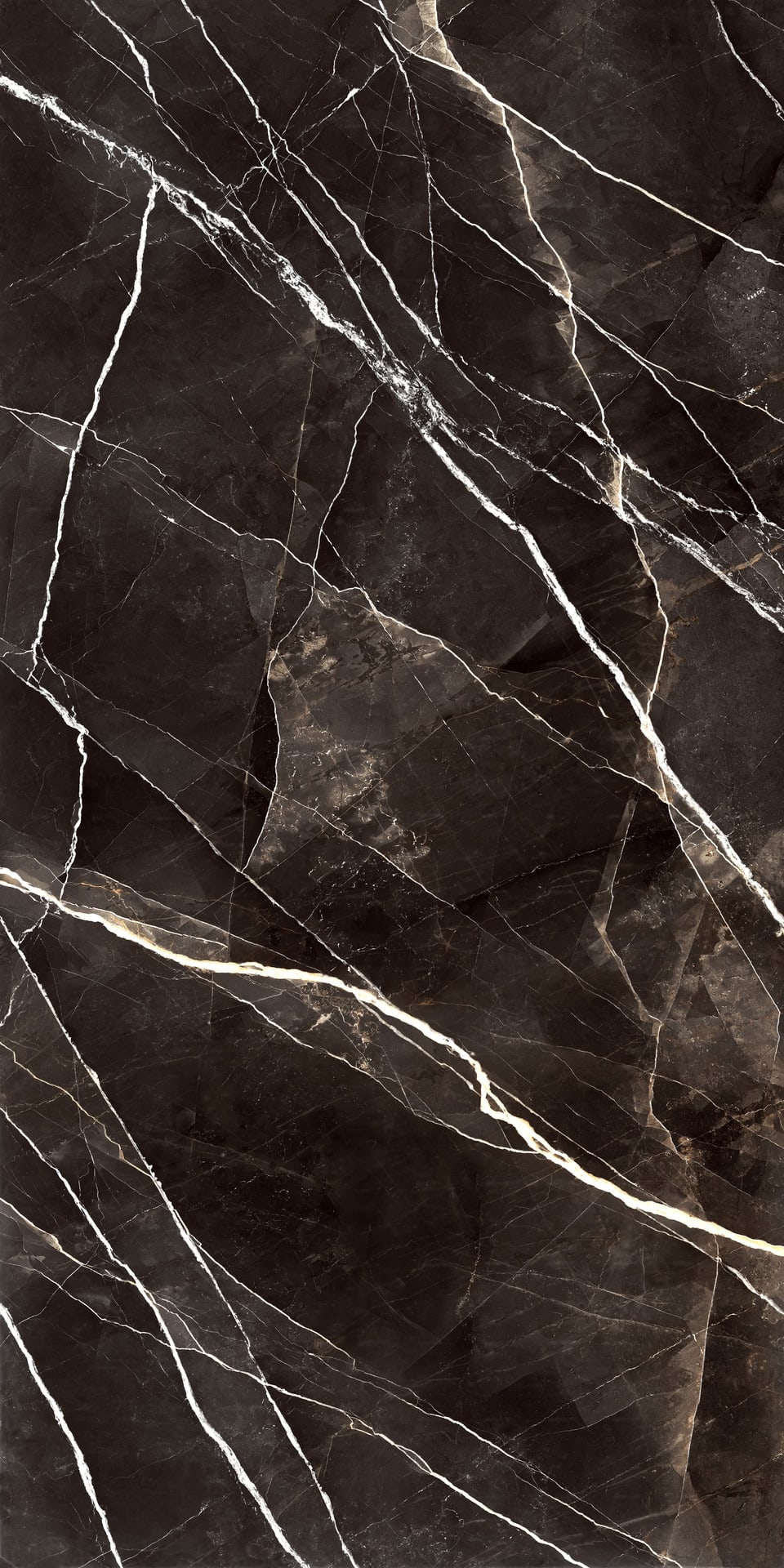 Calacatta Black