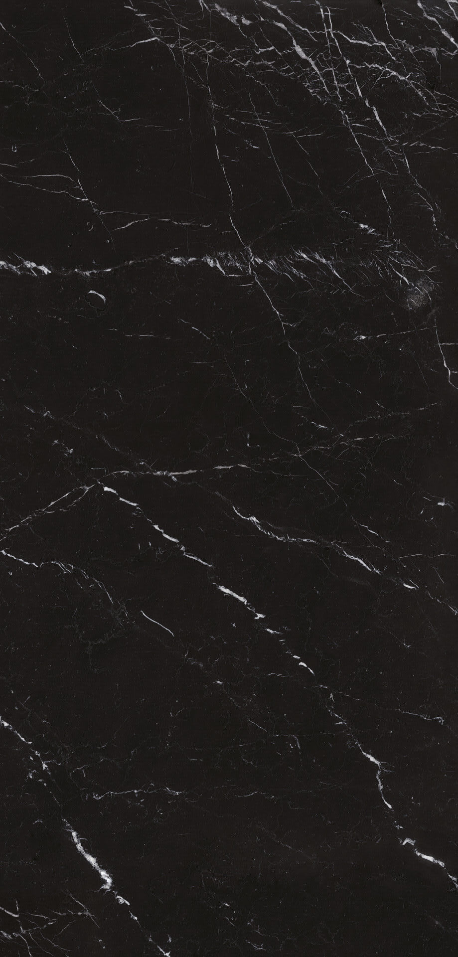 Elegant Black