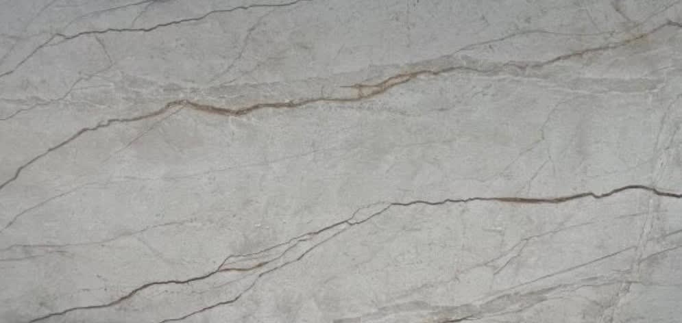 Silver Root White
