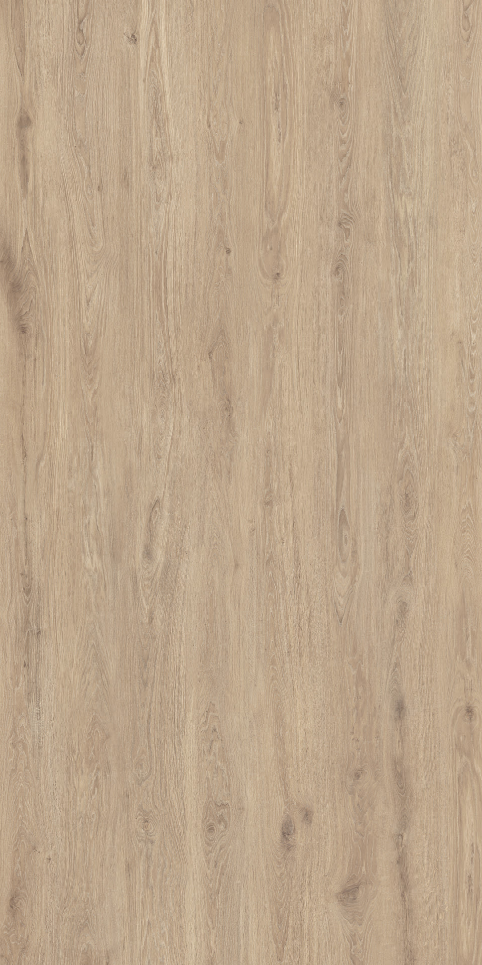 Rovere Francese