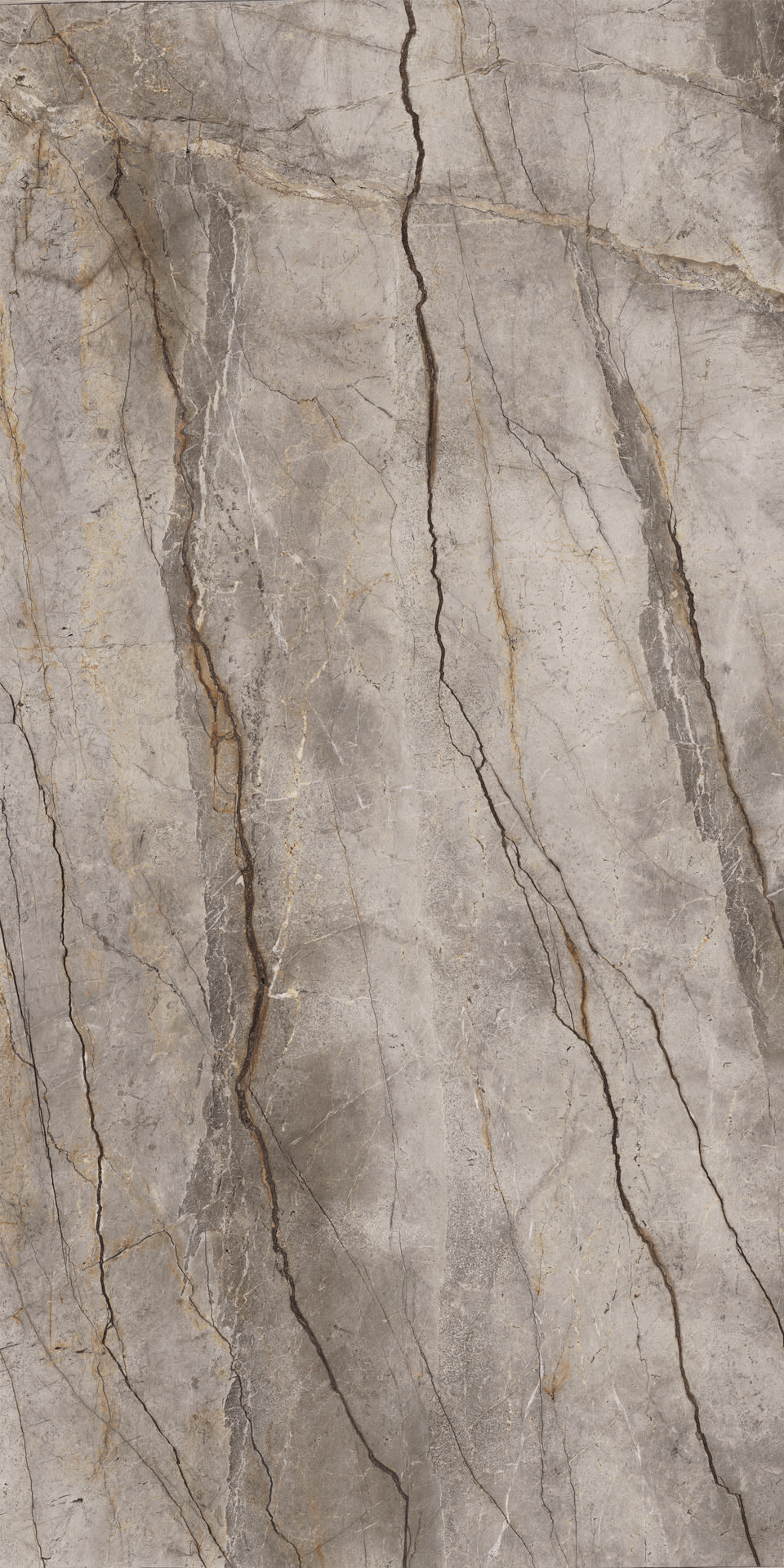 Silver Root Grey