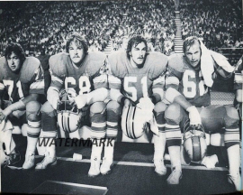 Southern California Sun (WFL 1974-1975) · 1975 Roster · Dead Football