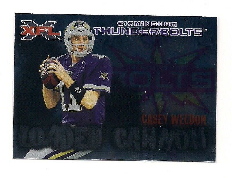 Birmingham Thunderbolts (XFL 2001) · 2001 Season · Dead Football League