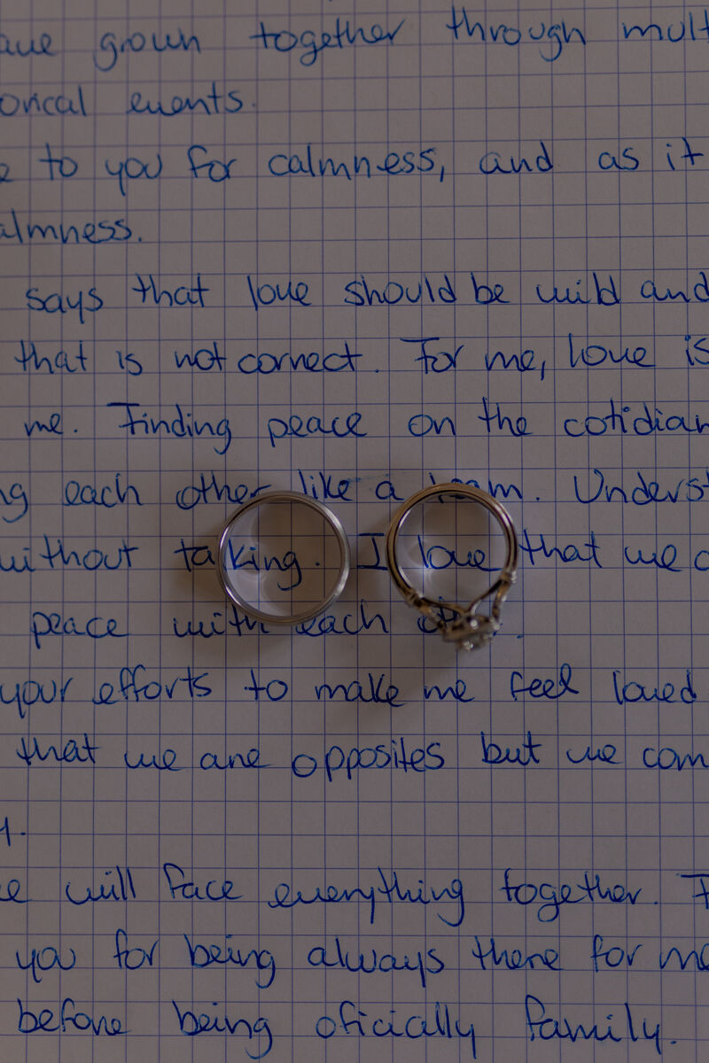 Gaby & Vitesh Wedding Photo 1