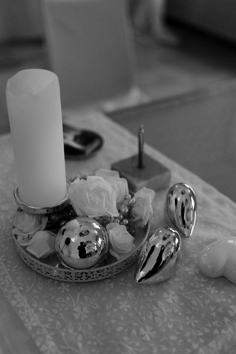 Gaby & Vitesh Wedding Photo 15