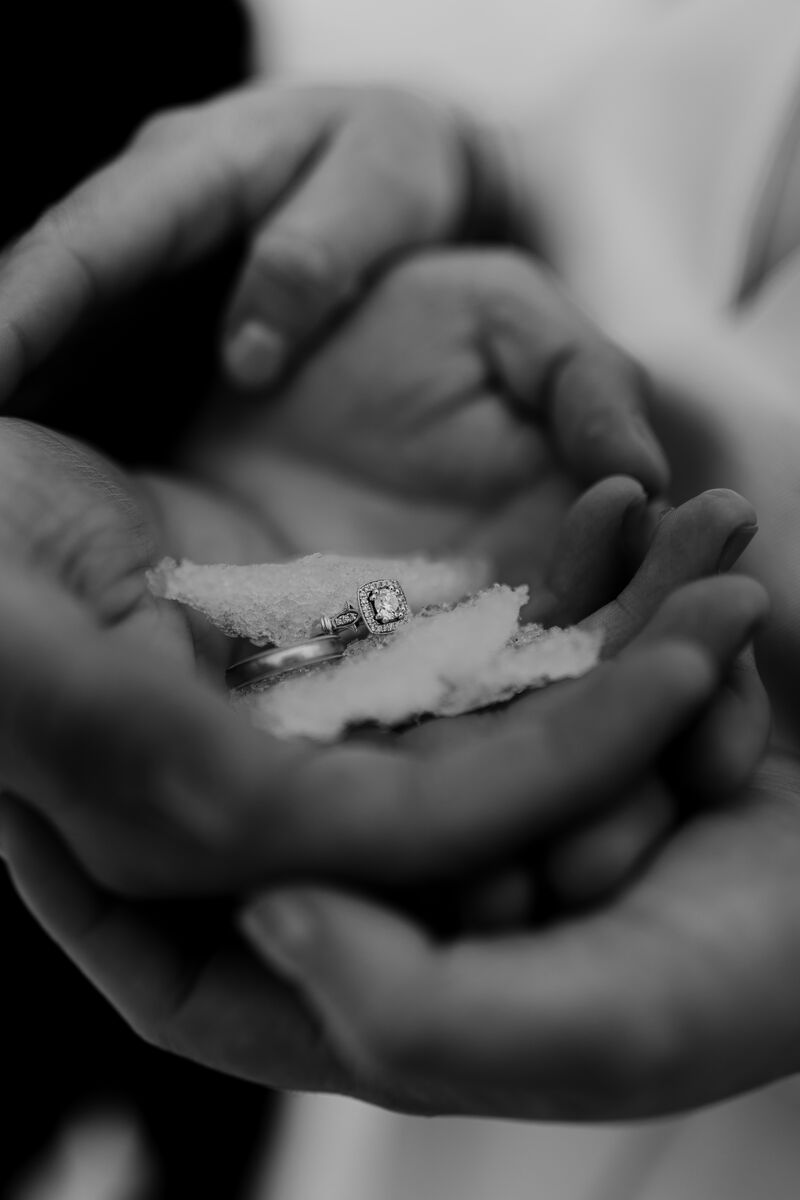 Gaby & Vitesh Wedding Photo 37