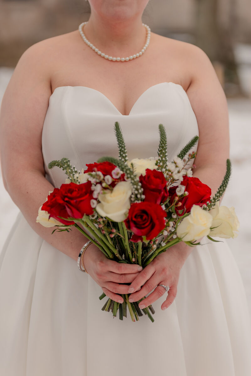 Gaby & Vitesh Wedding Photo 4