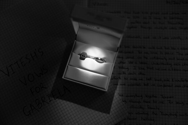 Gaby & Vitesh Wedding Photo 51