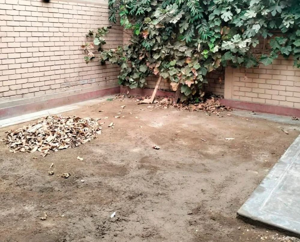 Casa en Los Olivos, Calle las Fresas , Las Palmeras - foto 5