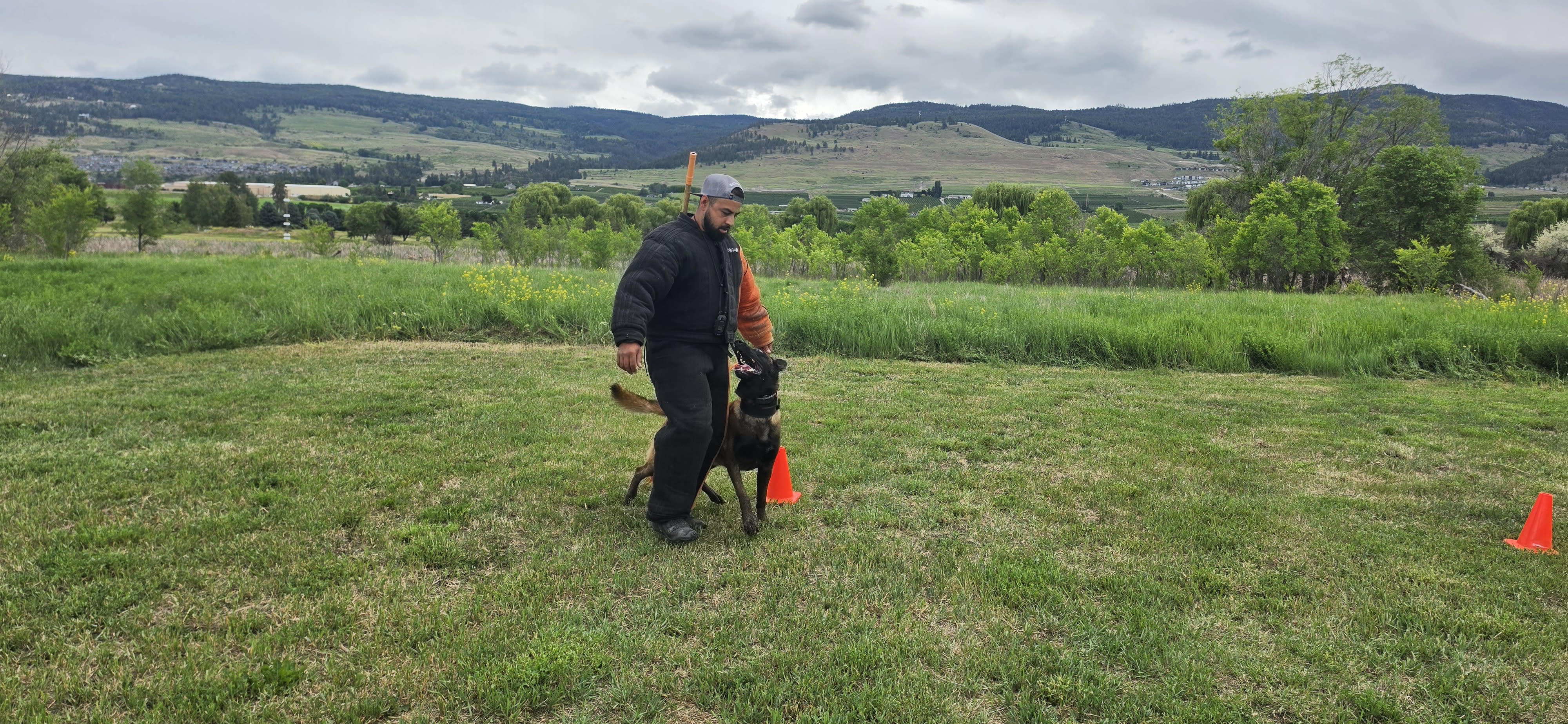Obedience heeling Kelowna