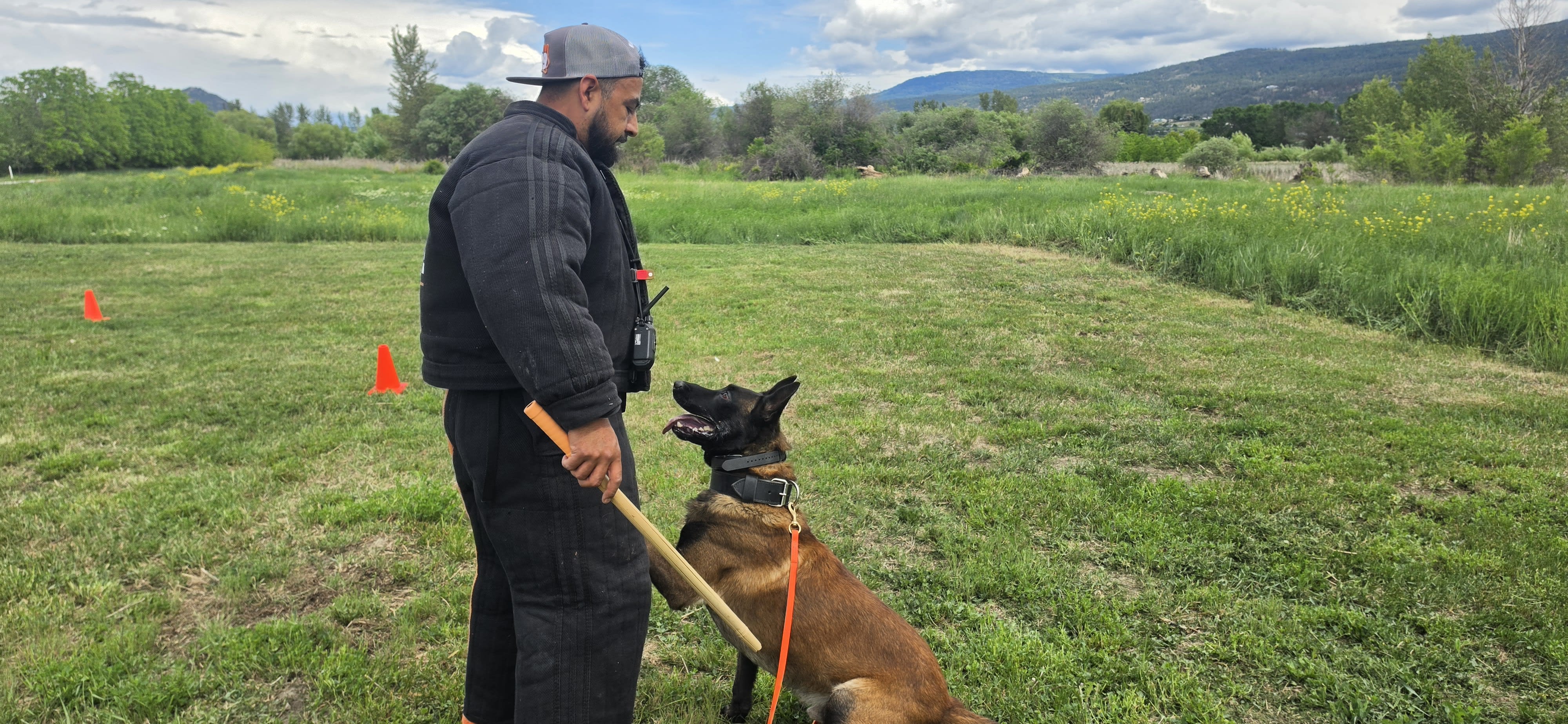 Handler and dog obedience work