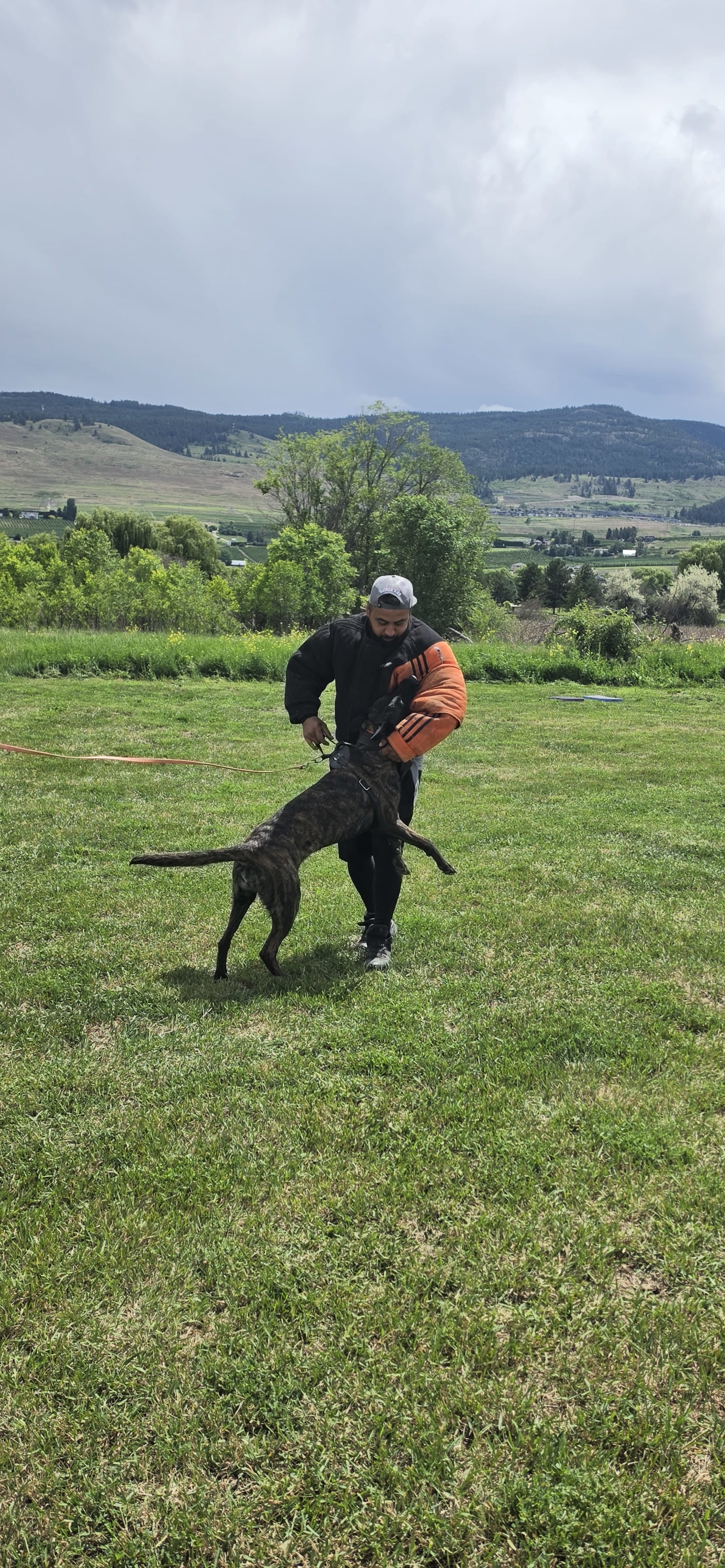 Club training day
