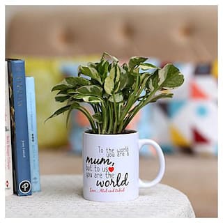 Paytmmall offers on Mothers Day Deals - Ferns N Petals happy mothers day plant n printed mug