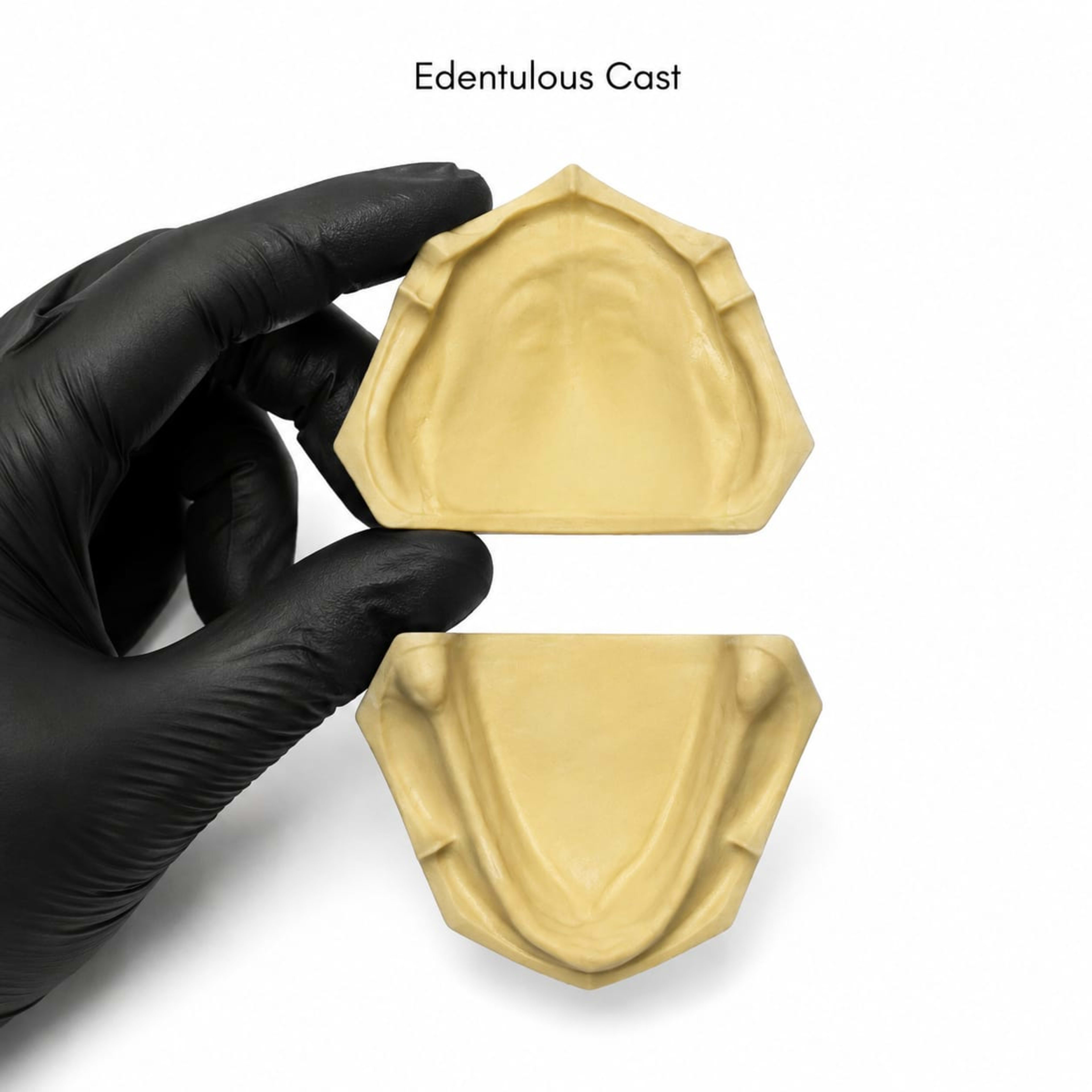 Edentolous Stone cast - Image