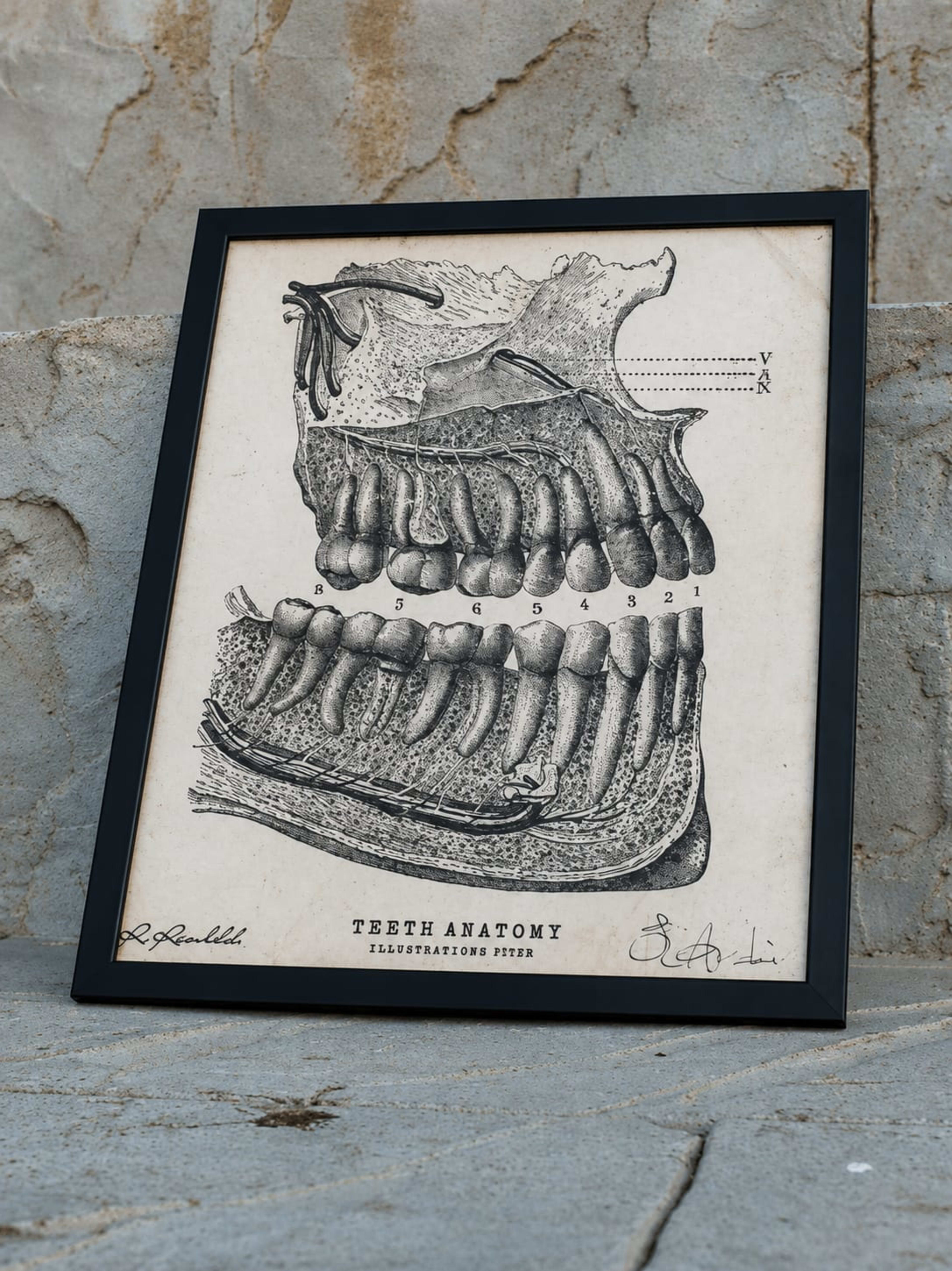 Dental Wallpaper thumbnail 8