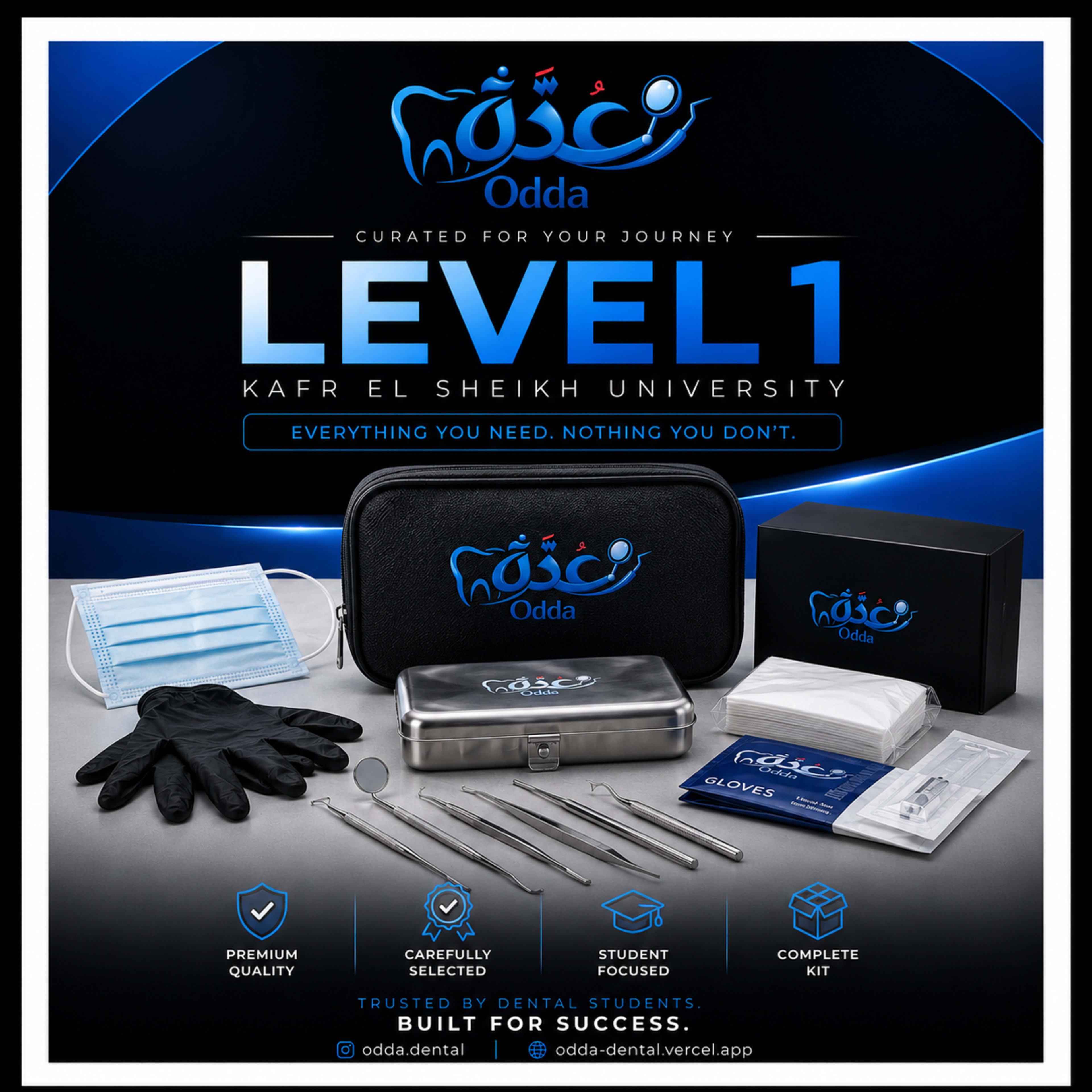 Level 1 Kafr Elsheikh