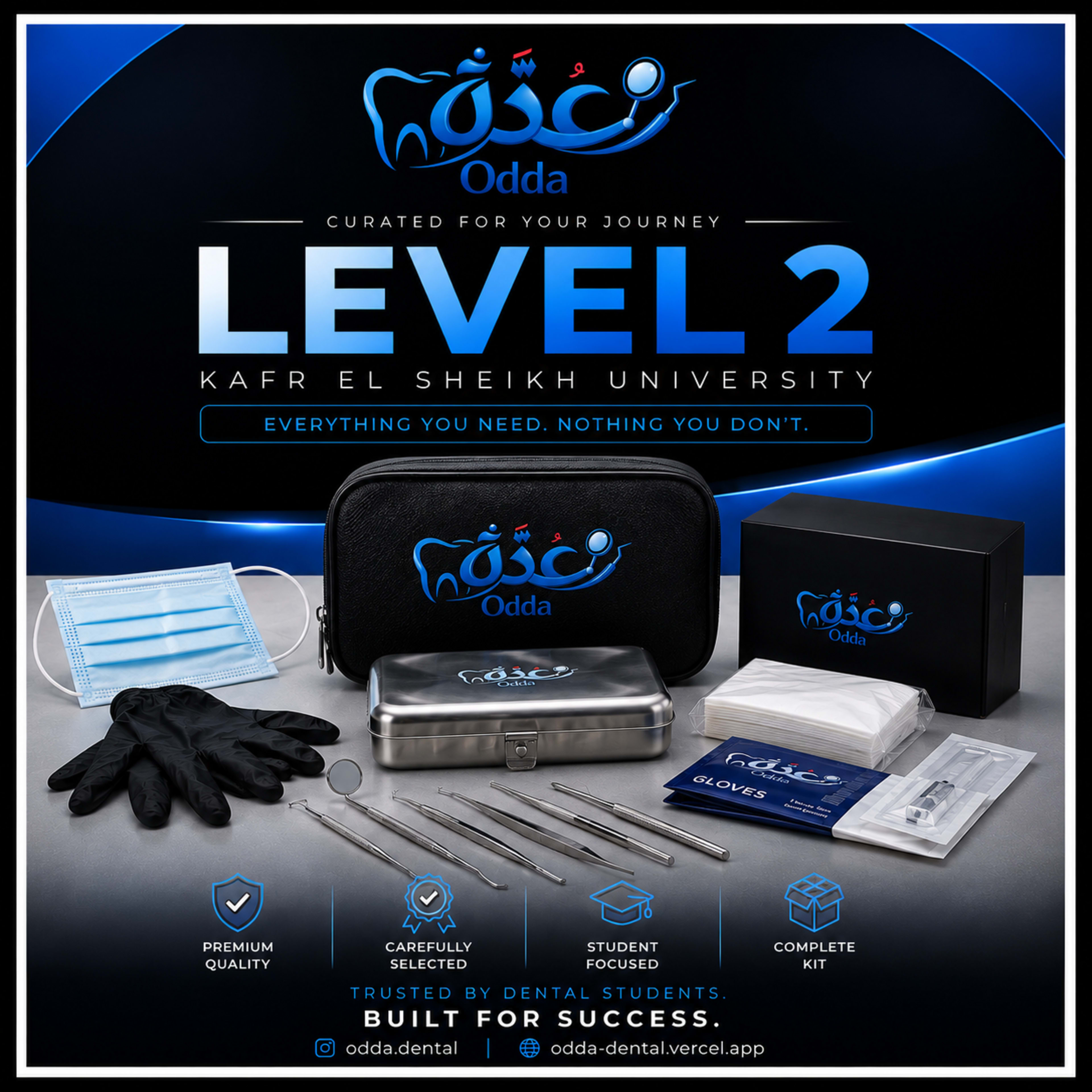 Level 2 Kafr Elsheikh