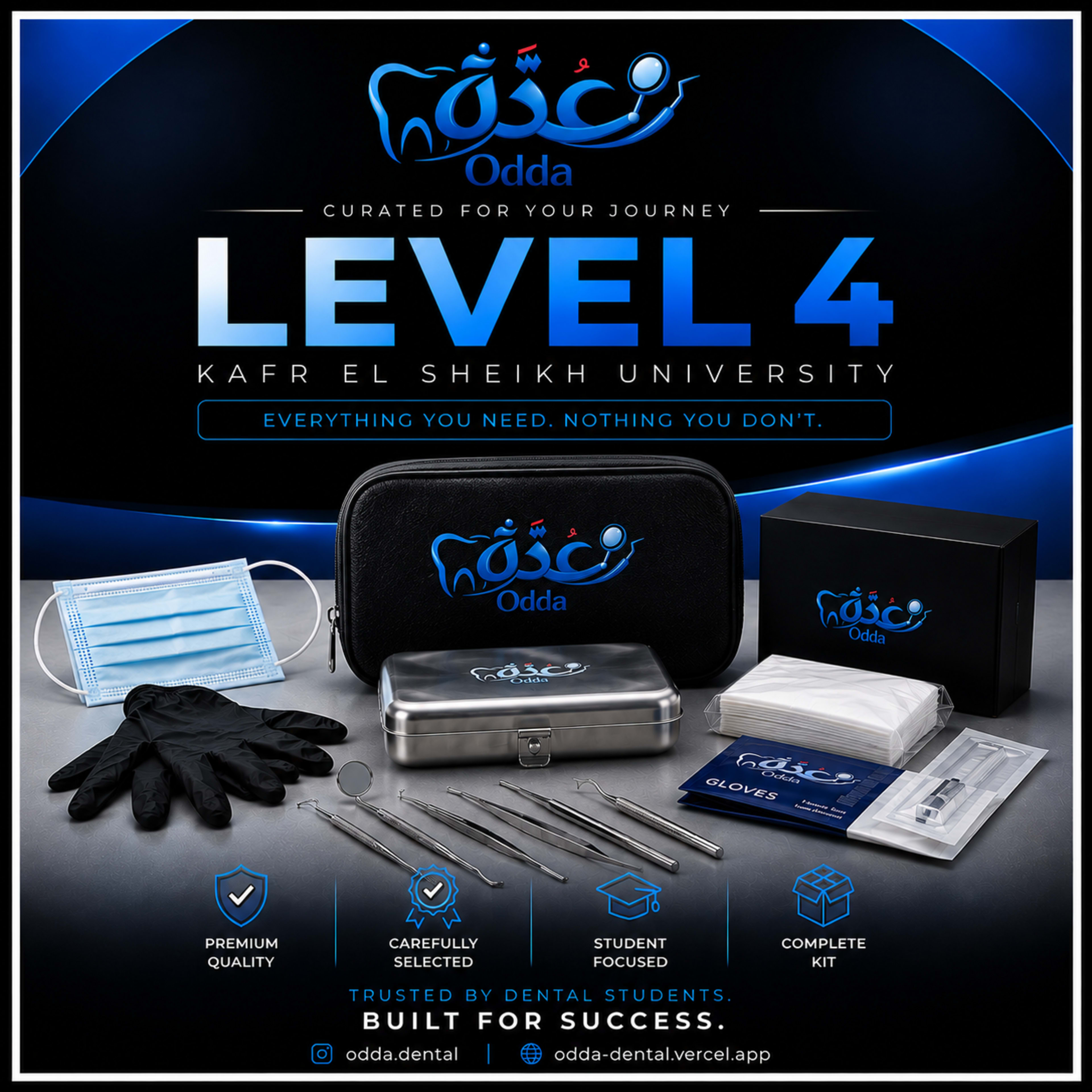 Level 4 Kafr ELsheikh
