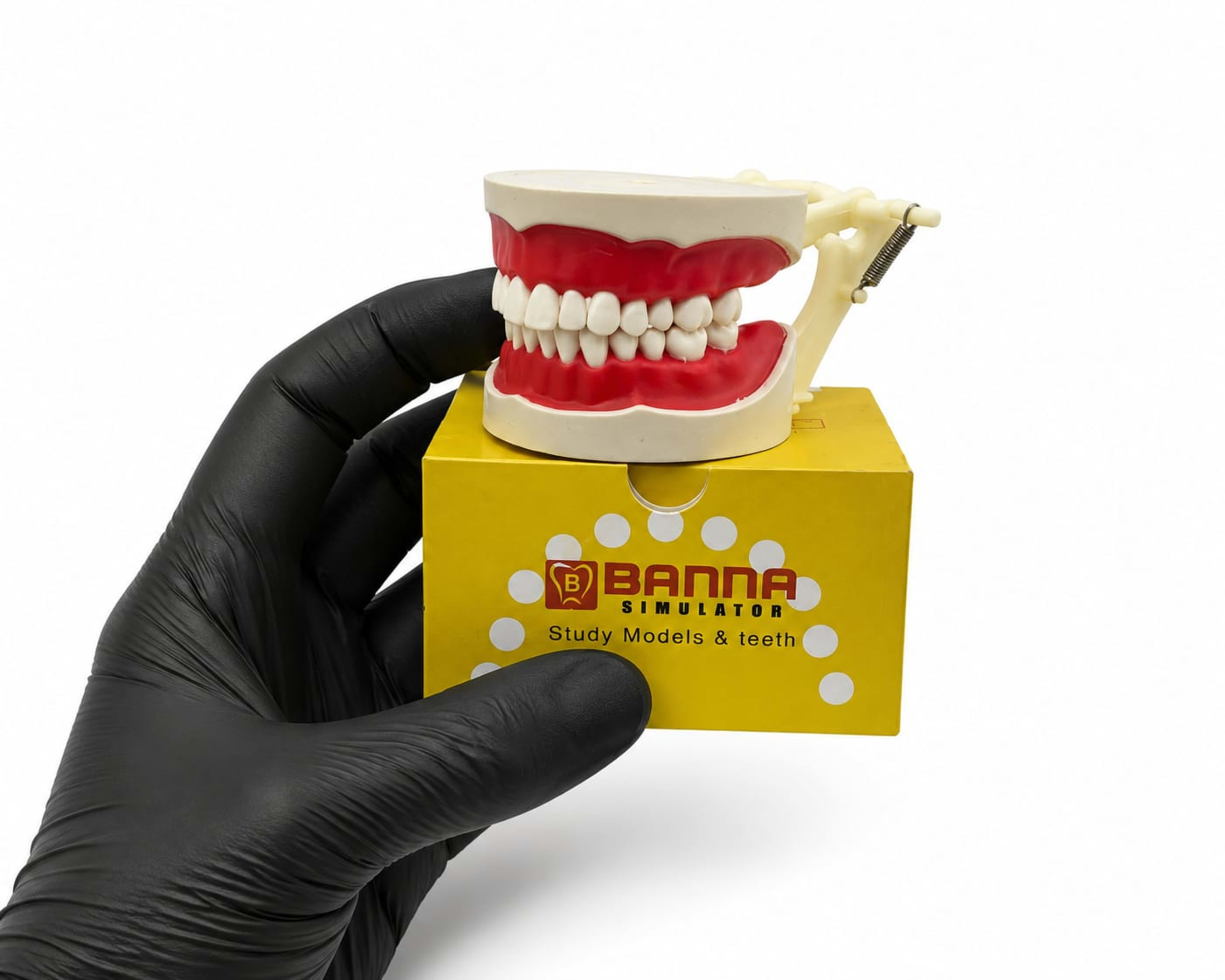 Banana cast screw plastic articulator