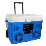 TUNES2GO CA-E065A KoolMAX Bluetooth 350-Watt Portable PA Cooler Speaker