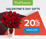 Get 20% off Holiday Flowers & Gifts at ProFlowers