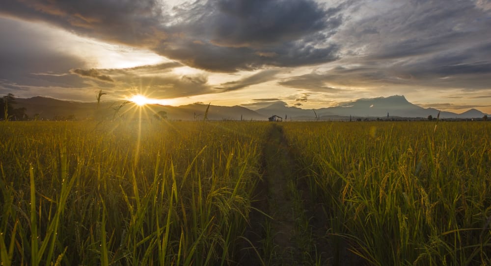 Sabah_Tourism-Lee Yen Phin-PIC_243-min.jpg