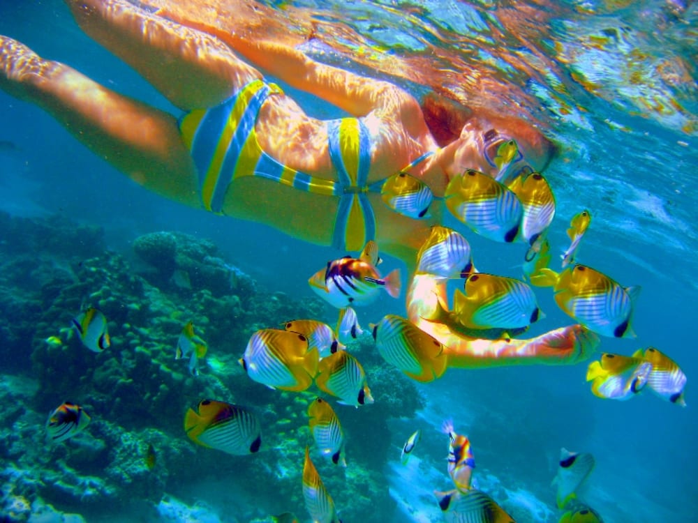 SanctuaryRarotonga_Snorkelling.JPG