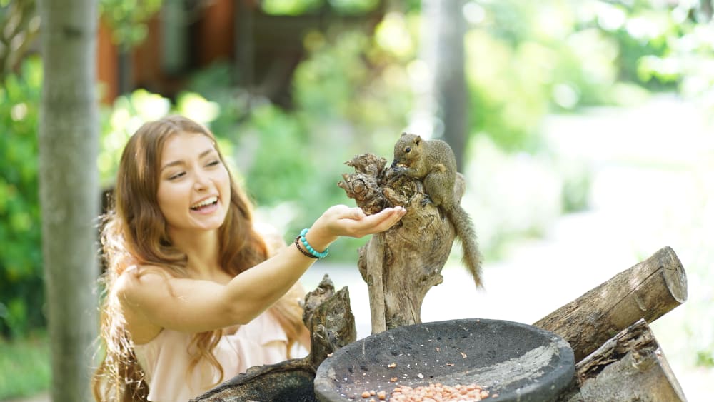 02. Squirrel Feeding-min.JPG