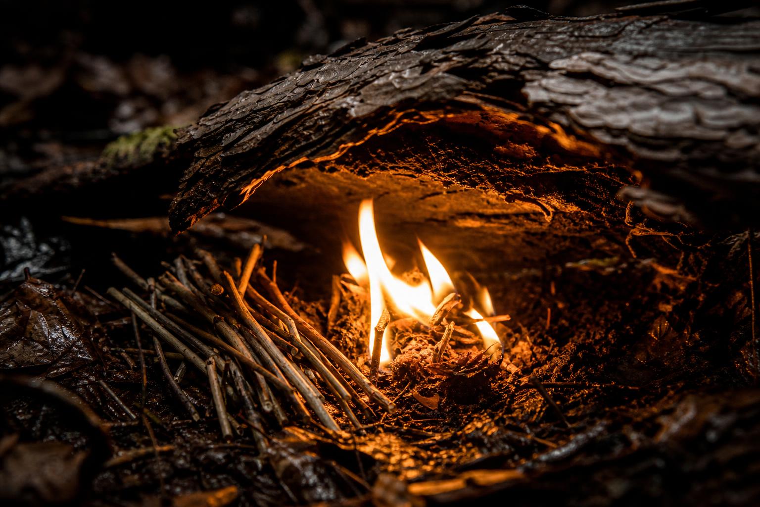 small survival fire lay protected from wind in damp forest conditions