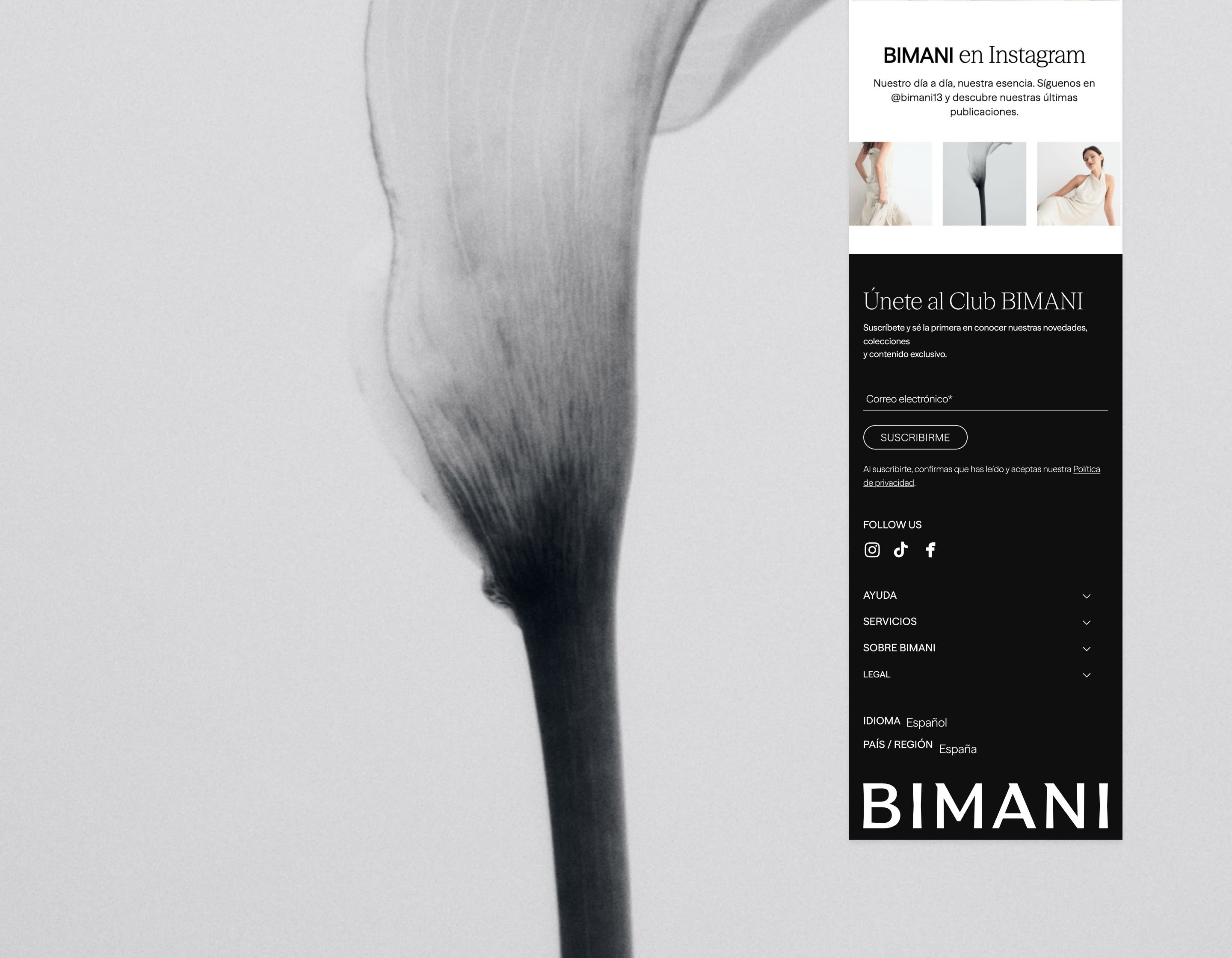 Diseño del proyecto de la home page Bimani - Imagen 3