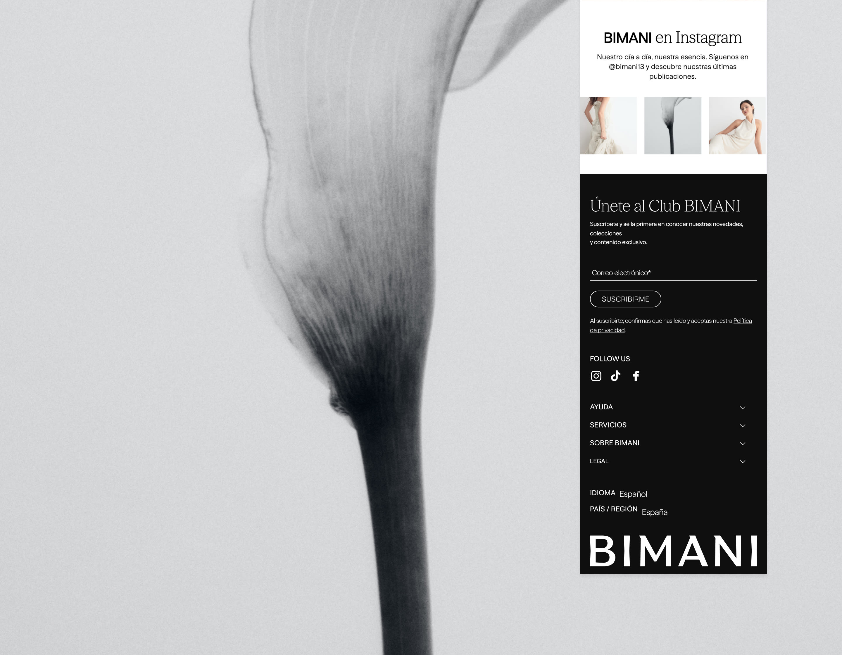 Diseño del proyecto de la home page Bimani - Imagen 3